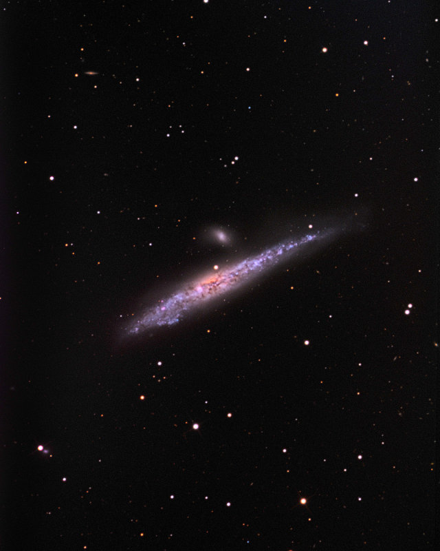 NGC 4631 16 x 20